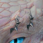 DGBPRCRingSpikeB_R/L