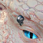 DGBPRCStudSkullA_R/L