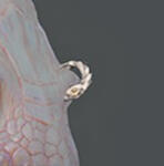 PRCDgbBarbarianEagleM_SeptRing