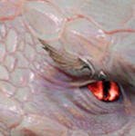 PRCDgbBarbarianEagleR/L_Wing