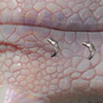 PRCBarbarianEagleR/LBrowRing