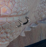 PRCDgbBarbarianEagleL_Ring