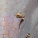 PRCDgbBarbarianBearHelixRing_L