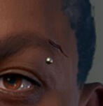 PRCBarbarianWolf_Sphere